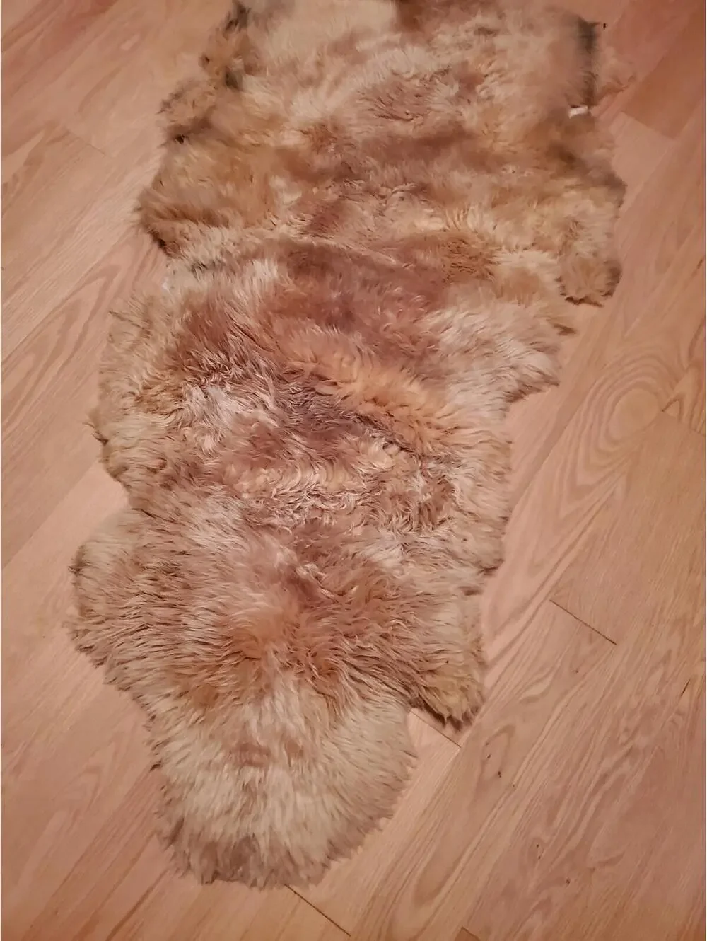 Eagle Wools Natural Sheepskin Rug / Hide Throw